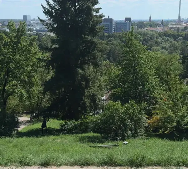 Ausblick vom Heinrich Kirchner Skulpturengarten am Burgberg