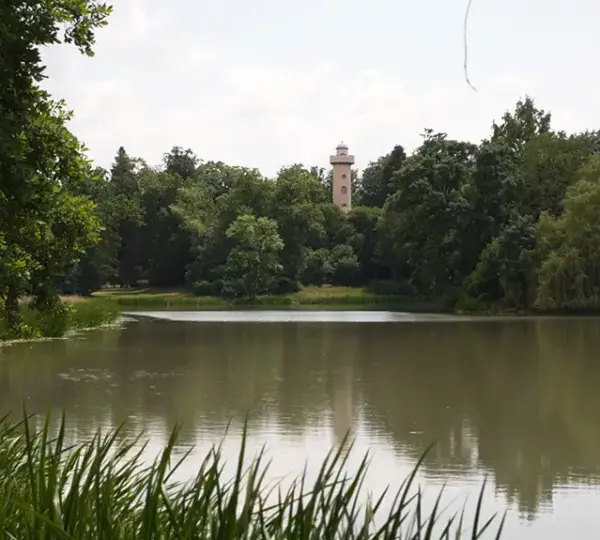 Blick auf den Aussichtsturm im Park Schönbusch