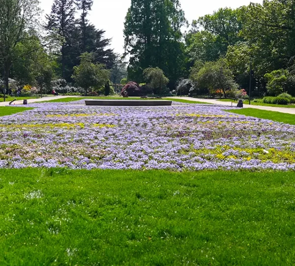 Blumenparterre im Bunten Garten Mönchengladbach