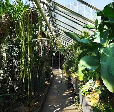 Botanischer Garten Erlangen und Neischlhöhle