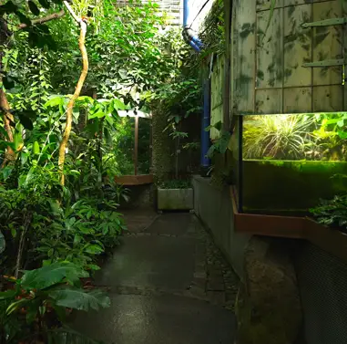 Botanischer Garten Erlangen und Neischlhöhle