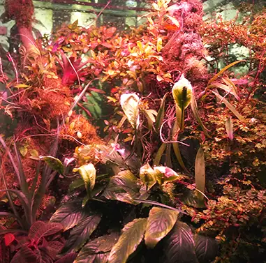 Botanischer Garten Erlangen und Neischlhöhle