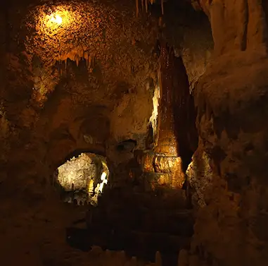 Botanischer Garten Erlangen und Neischlhöhle