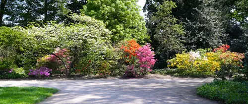 Bunter Garten