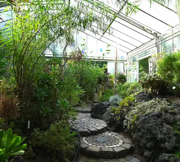 Kanarenhaus im Botanischen Garten Erlangen