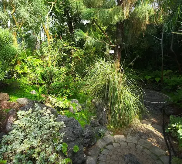 Kanarenhaus im Botanischen Garten Erlangen