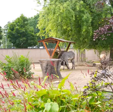 Kölner Zoo