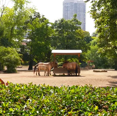 Kölner Zoo