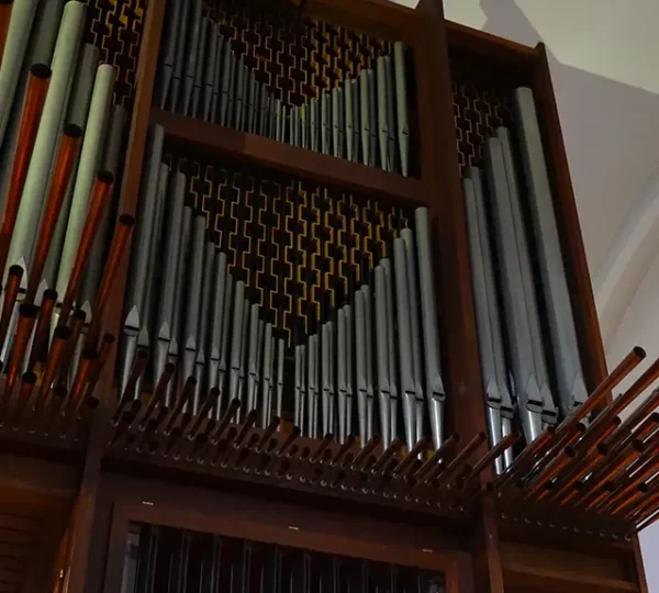 Nahaufnahme der Orgel des Münster St. Vitus Nahaufnahme der Orgel des Münster St. Vitus
