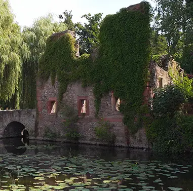 Park Schöntal in Aschaffenburg