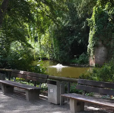 Park Schöntal in Aschaffenburg