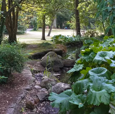 Park Schöntal in Aschaffenburg