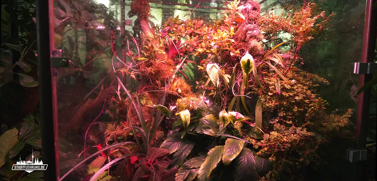 Pflanzen im Botanischen Garten Erlangen