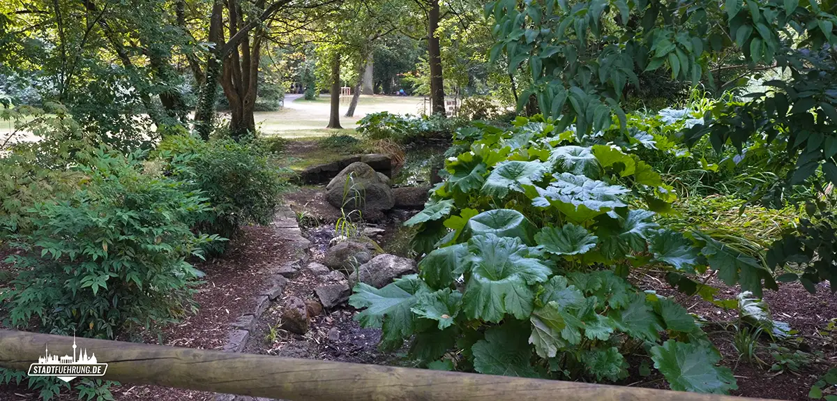 Pflanzenpracht im Park Schöntal