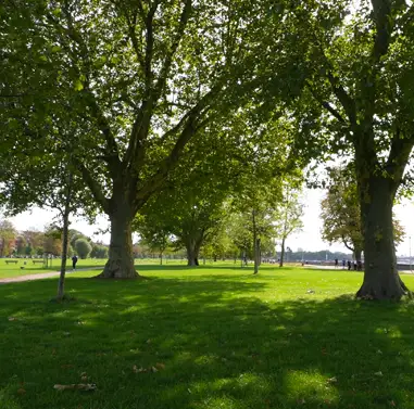 Rheinpark Golzheim in Düsseldorf