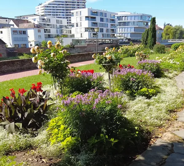 Rosengarten an der Ulmer Stadtmauer