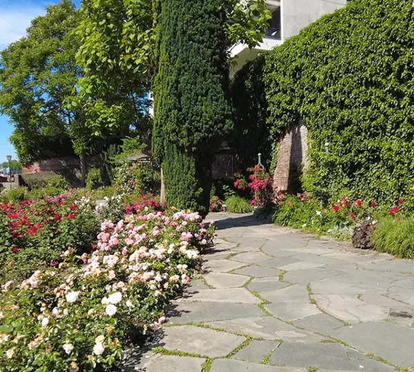 Sitzgelegenheit im Rosengarten an der Ulmer Stadtmauer