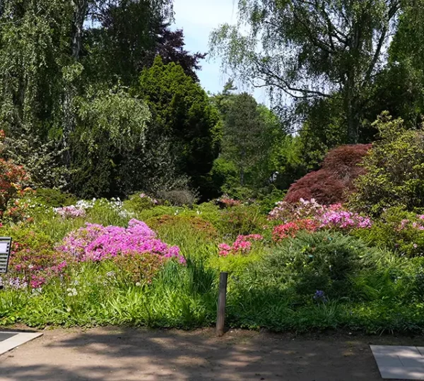 Sitzgelegenheiten im Bunten Garten Mönchengladbach