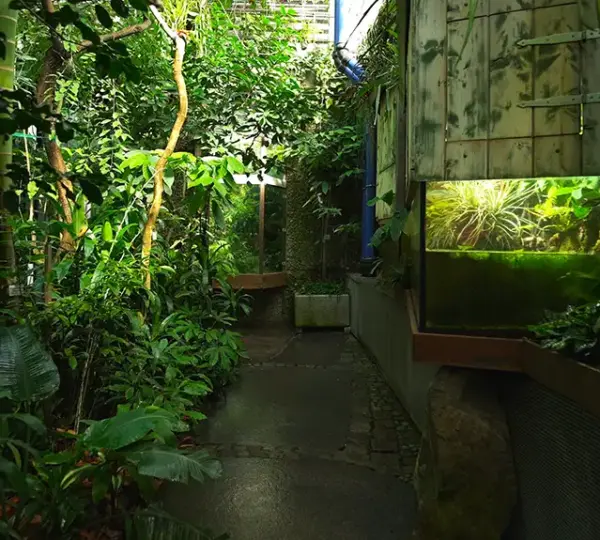 Tropisches Gewächshaus im Botanischen Garten Erlangen