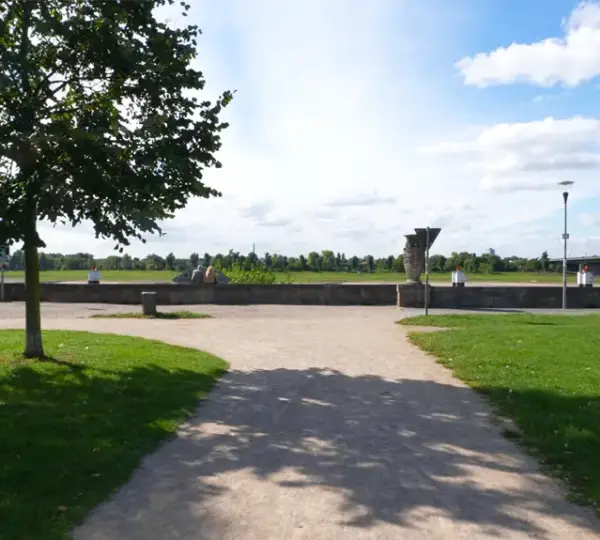 Uferbereich vom Rheinpark Golzheim