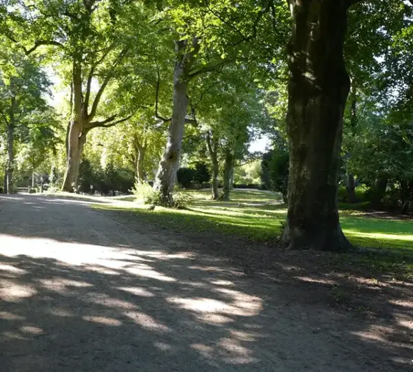 Weg im Düsseldorfer Hofgarten