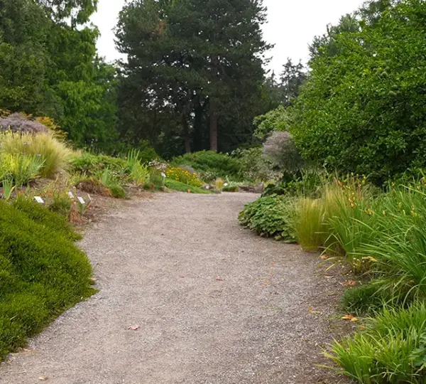 Wege im Botanischen Garten Köln