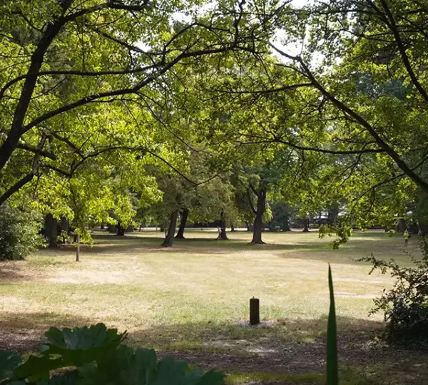 Wiese im Park Schöntal
